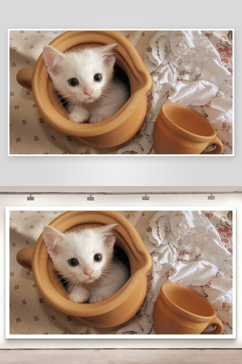 小猫蜷缩在陶罐中素材