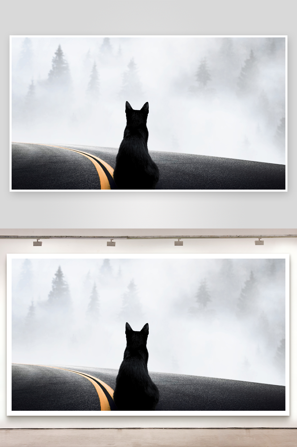 黑猫伫立雾中公路素材