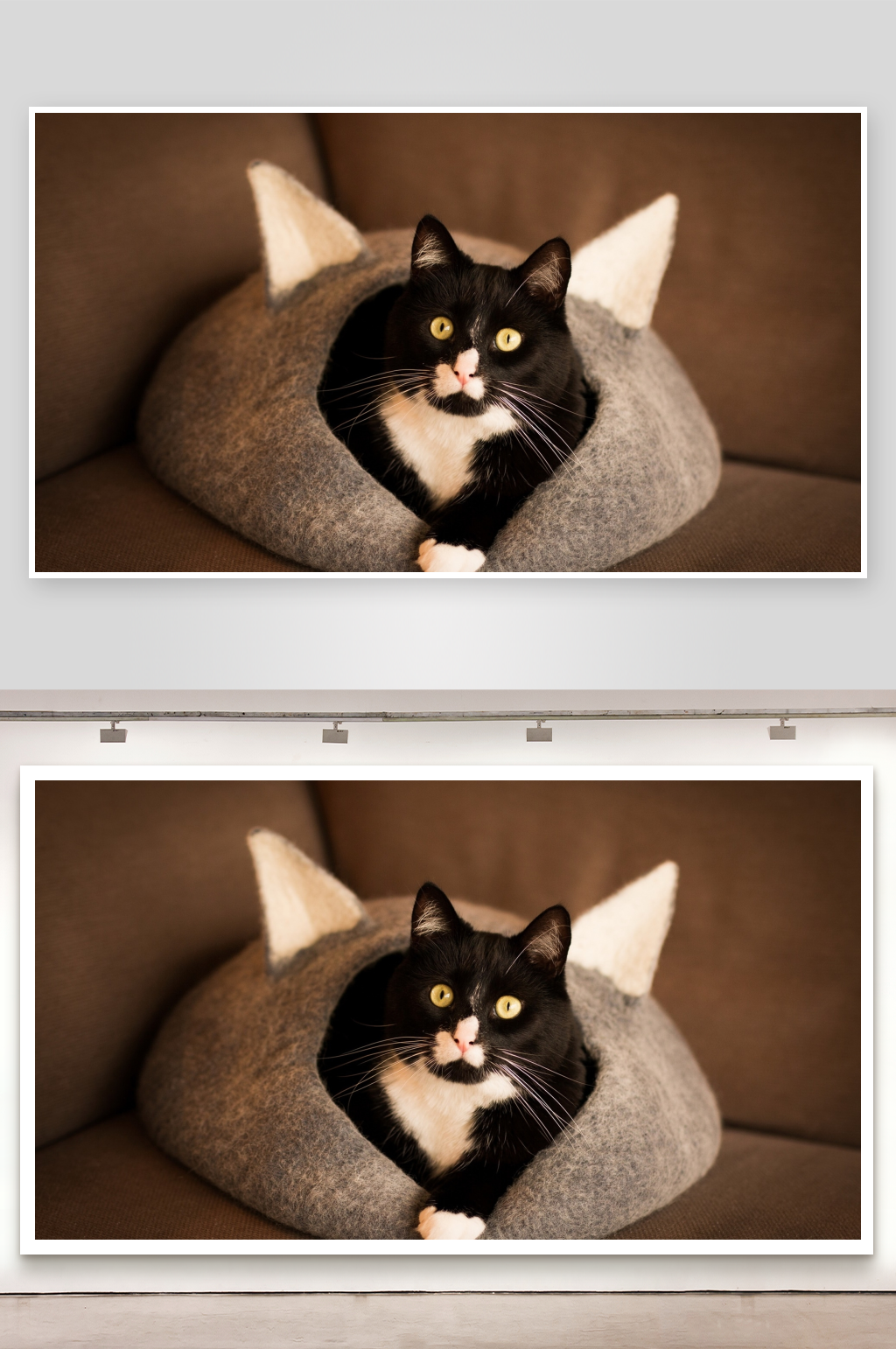 黑猫蜷缩在猫窝中素材