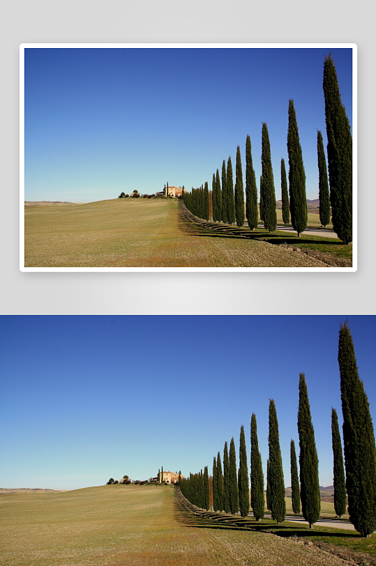 意大利乡村绿树长廊风景-众图网