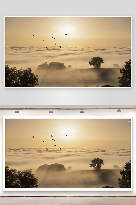 日出云海飞鸟景观-众图网