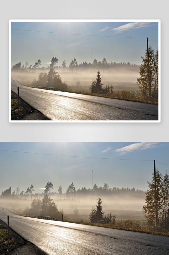 晨雾公路林木朦胧景象-众图网