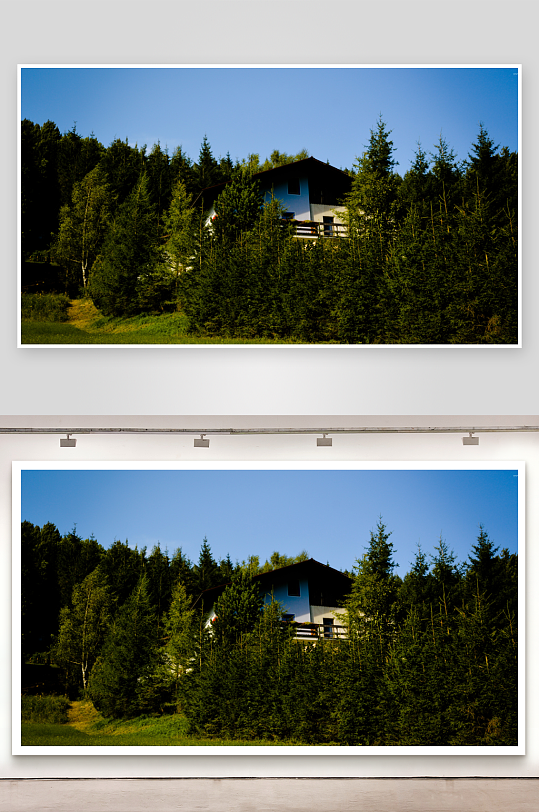 森林中的白色房屋-众图网