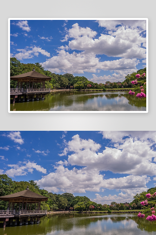 湖畔亭台与繁花映蓝天-众图网