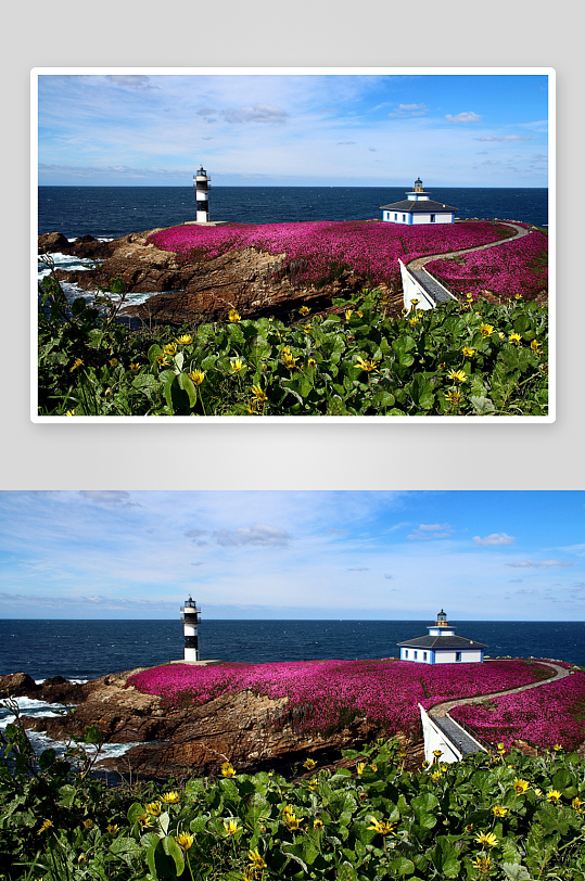 灯塔海岸花海美景-众图网