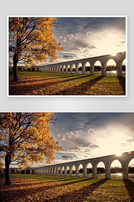 秋日拱桥与金黄树叶-众图网