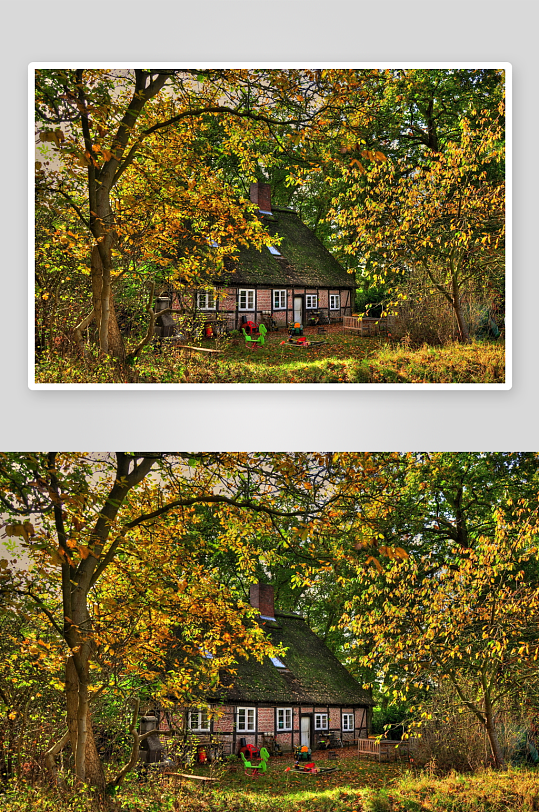 秋日林间小屋景色-众图网