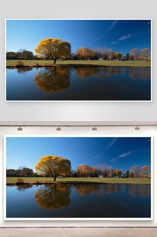 秋日湖畔金黄树木倒影-众图网