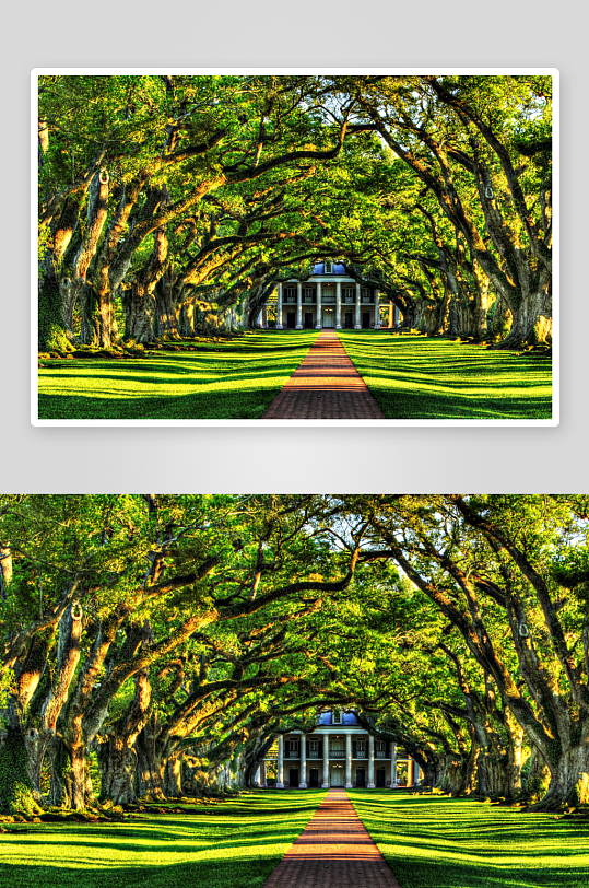 绿树成荫的建筑长廊-众图网