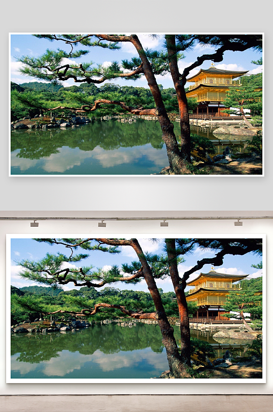 金阁寺湖畔松树美景-众图网