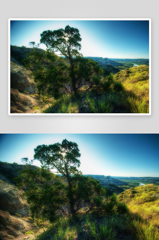 阳光下的山丘绿树景观-众图网