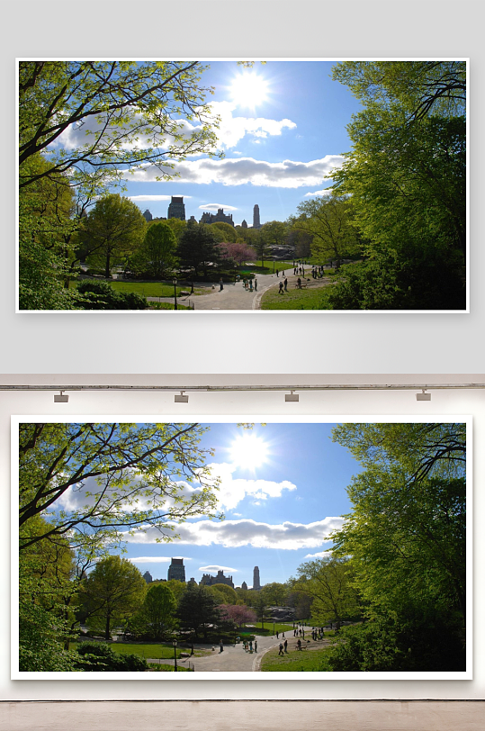 阳光公园绿树成荫行人漫步-众图网