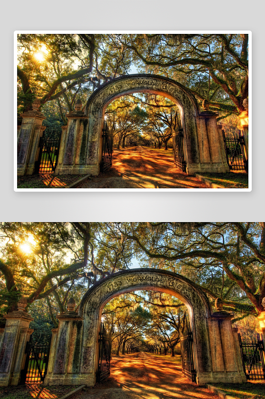 阳光穿过拱门的林荫大道-众图网