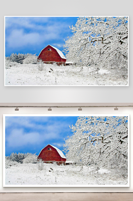 雪景红屋与白树照片摄影-众图网