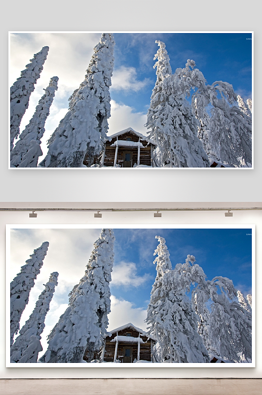 雪覆松林木屋冬日景象-众图网