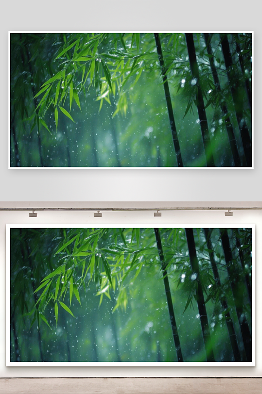 竹林听雨声声入梦来图片-众图网