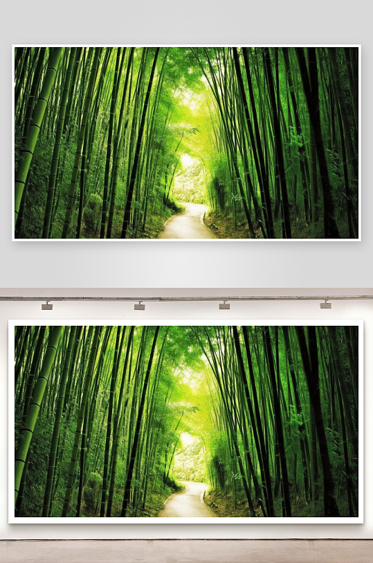 竹林小径清幽通深处-众图网