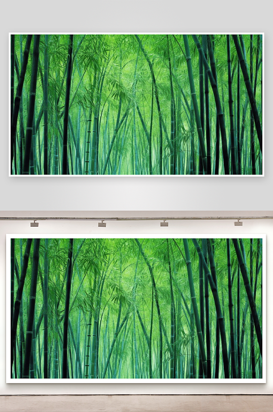 竹林深处清风送凉意壁纸-众图网