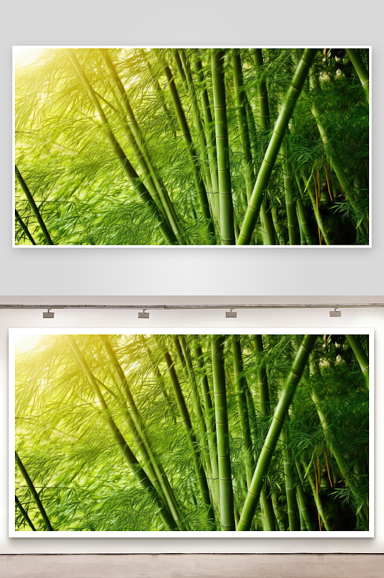 竹林深处清风送凉意背景图-众图网