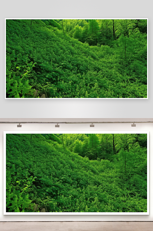 绿意蔓延山野生机盎然-众图网