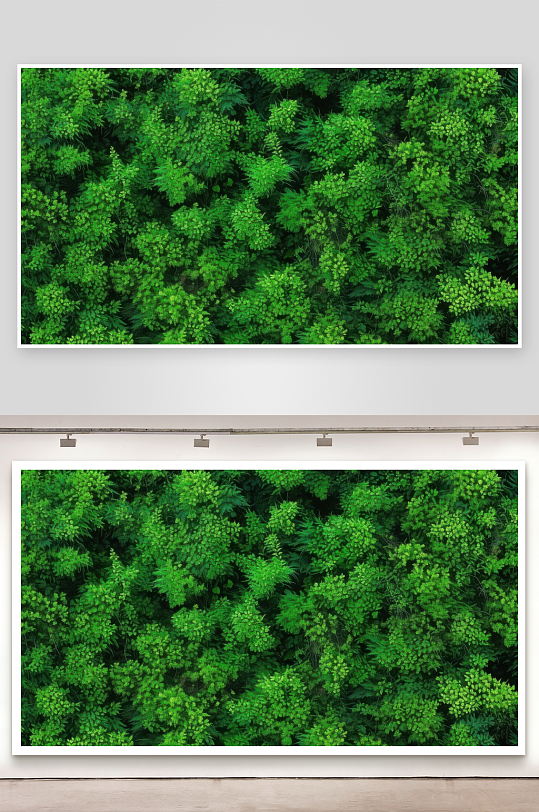 绿意蔓延山野生机盎然背景图-众图网