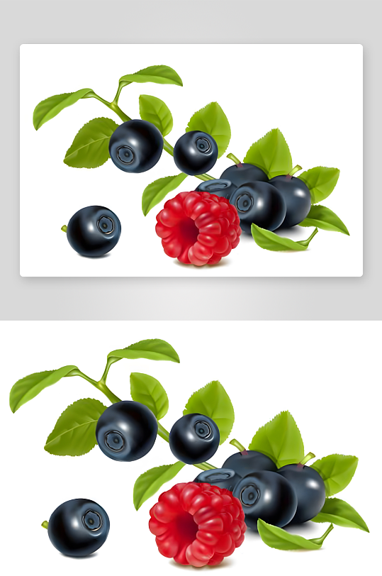 树莓矢量创意设计素材-众图网