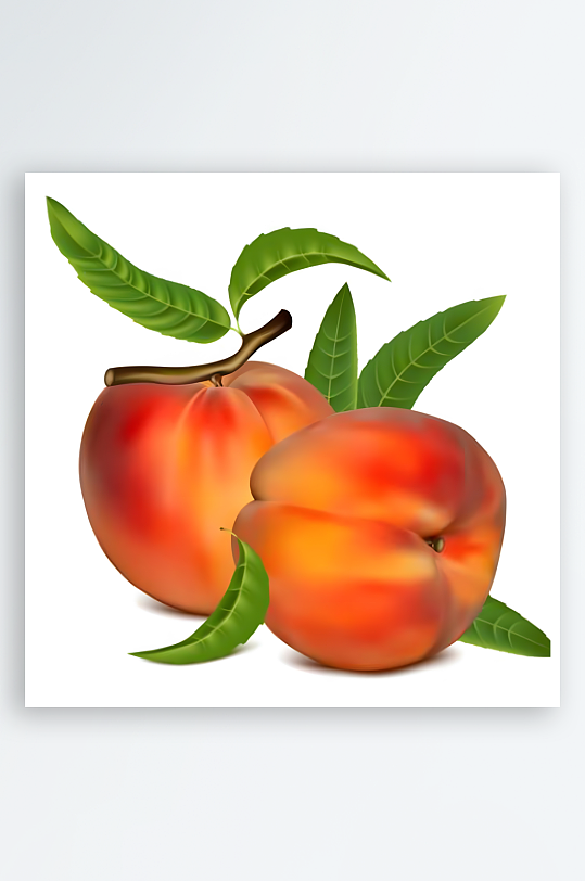 黄桃矢量创意设计素材-众图网