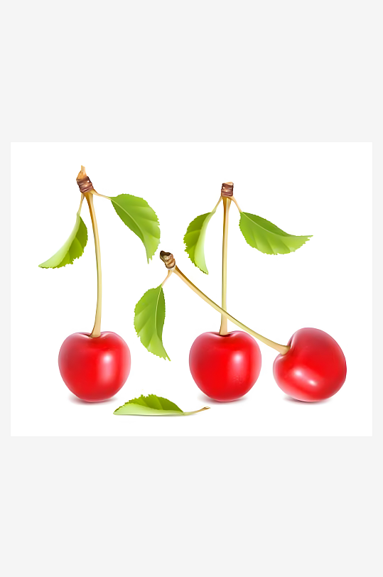 樱桃矢量创意设计素材-众图网