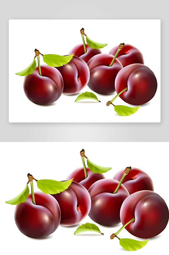 李子矢量创意设计素材-众图网