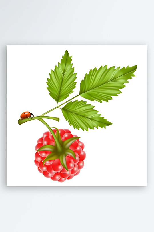 草莓矢量创意设计素材-众图网