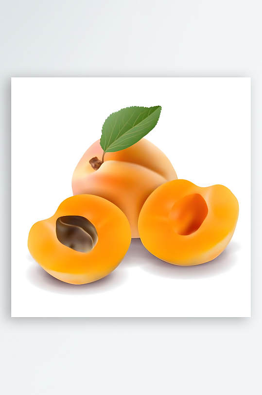 黄杏矢量创意设计素材-众图网