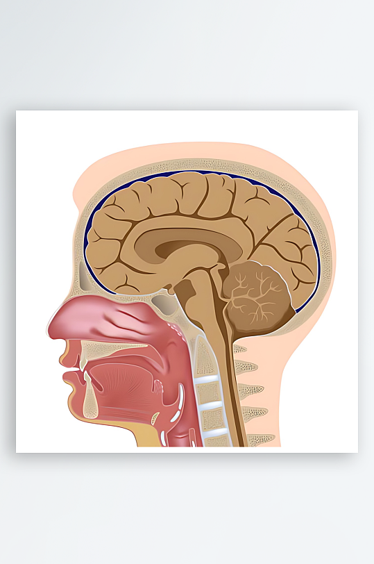 医疗医学人体示意图-众图网