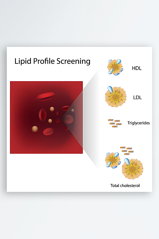 医学医疗人体示意图-众图网