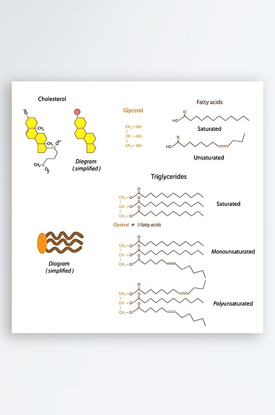 医学医疗人体示意图-众图网