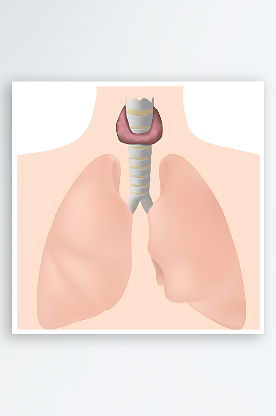 医学医疗人体示意图-众图网
