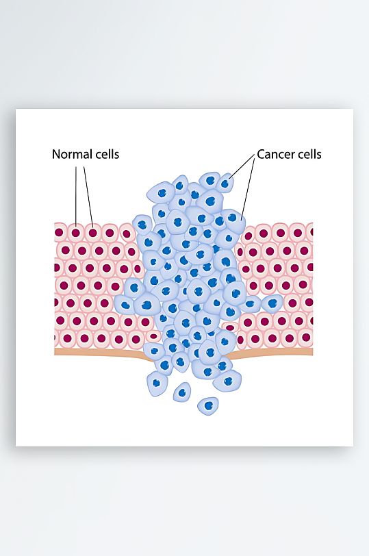 医学医疗人体示意图-众图网