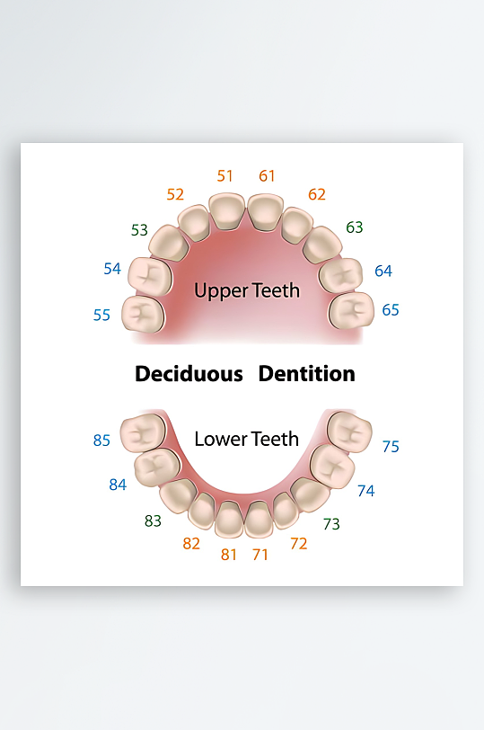 医疗医学人体示意图-众图网