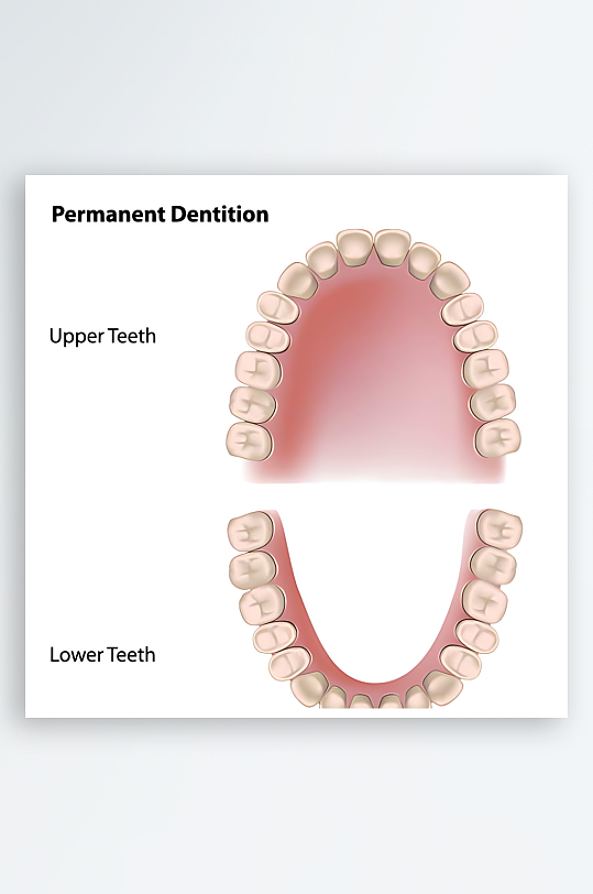 医学医疗人体示意图-众图网