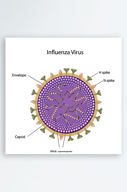 医疗医学人体示意图-众图网
