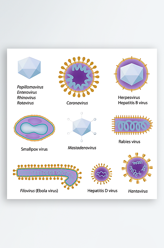 医疗医学人体示意图-众图网