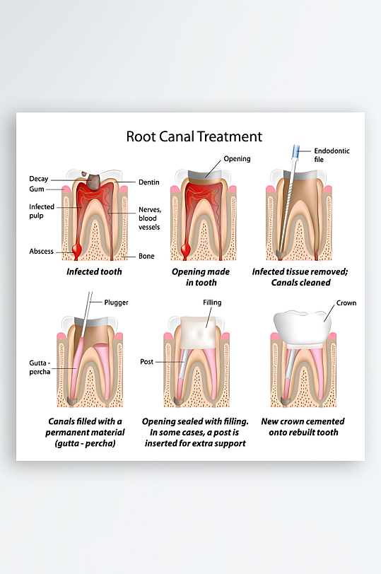 医学医疗人体示意图-众图网