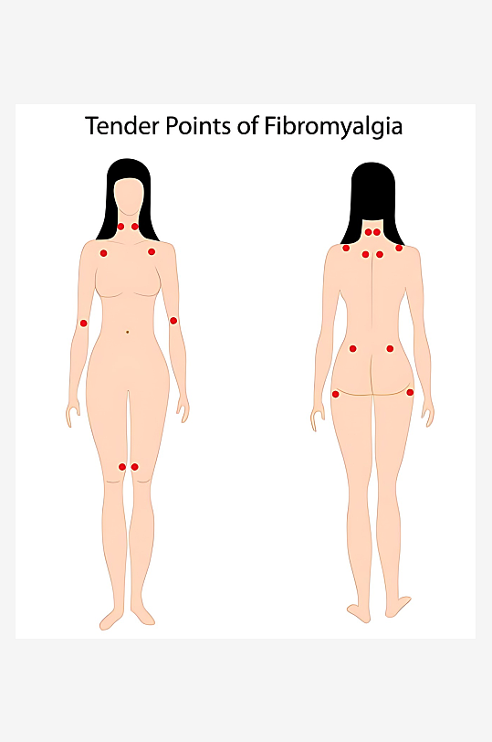 医疗医学人体示意图-众图网
