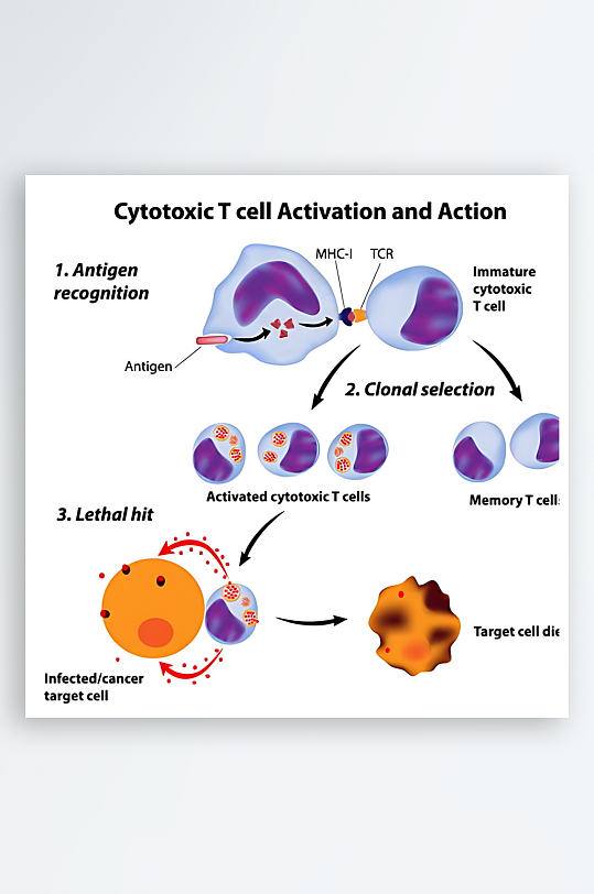 医疗医学人体示意图-众图网