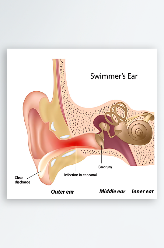 医疗医学人体示意图-众图网