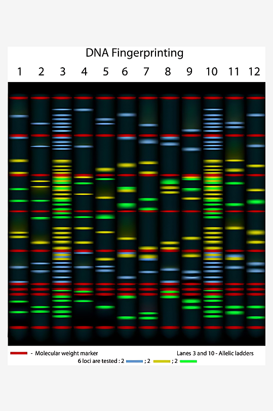 医疗医学人体示意图-众图网