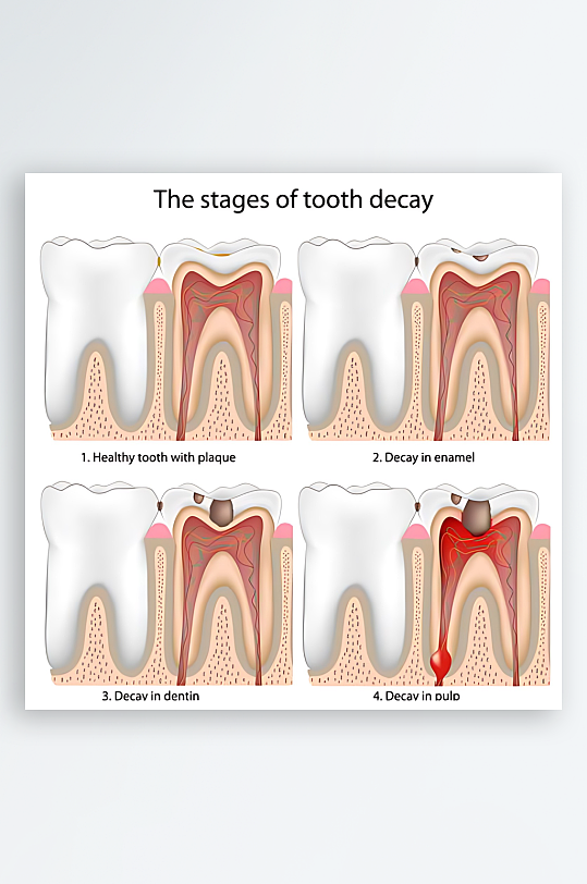 医学医疗人体示意图-众图网