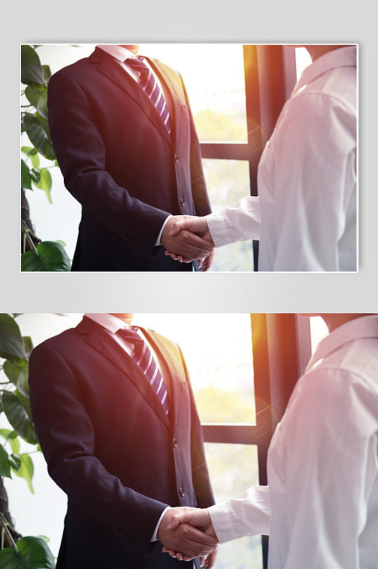 合作共赢商务企业人物握手高清摄影图照片