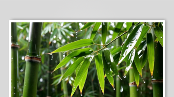 翠竹数字艺术AI春季春天风景MP4视频-众图网