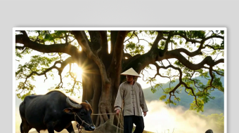 放牛数字艺术AI春季春天风景MP4视频-众图网