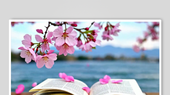 海棠花数字艺术AI春季春天风景MP4视频-众图网